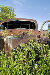 Image showing Overgrown Antique Car