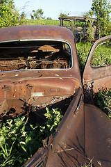 Image showing Overgrown Antique Car