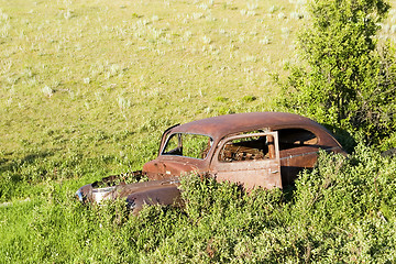 Image showing Overgrown Antique Car