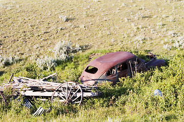 Image showing Overgrown Antique Car