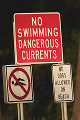 Image showing No Swimming No Dogs