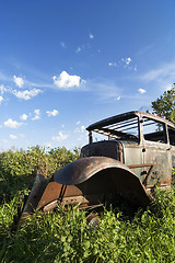 Image showing Overgrown Antique Car