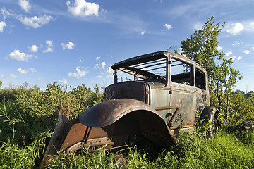 Image showing Overgrown Antique Car