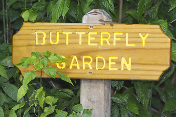 Image showing Butterfly Garden sign