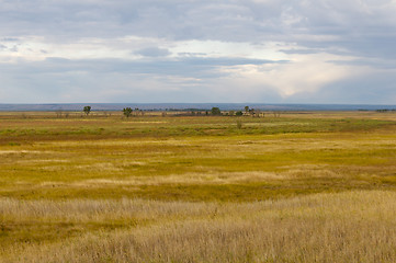 Image showing Marsh or Open Wetland