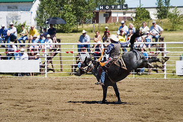 Image showing Bare Back Riding