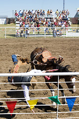 Image showing Saddle Bronc