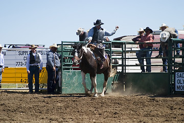 Image showing Saddle Bronc