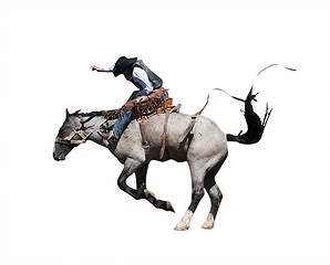 Image showing Saddle Bronc with Clipping Path