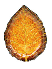Image showing Leaf plate
