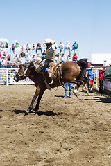 Image showing Saddle Bronc