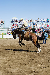 Image showing Saddle Bronc