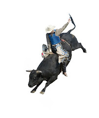 Image showing Bull Riding