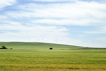 Image showing Prairie Landscape