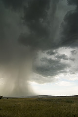 Image showing Rain Cloud