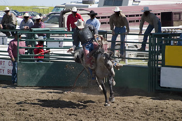 Image showing Saddle Bronc