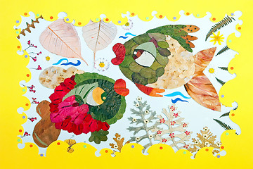 Image showing Fish collage