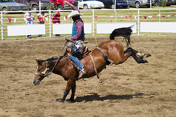 Image showing Saddle Bronc