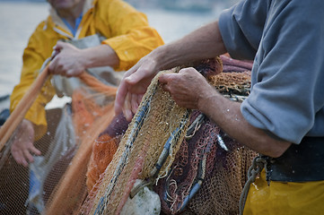 Image showing Fishermen pulling in nets