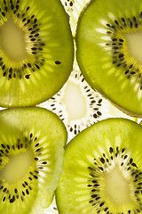 Image showing Kiwi Slice Texture