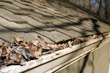 Image showing house gutter filled with leaves autumn