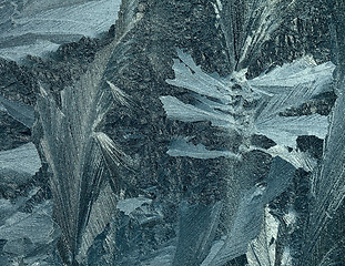 Image showing Frost pattern.