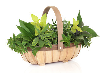 Image showing Herb Basket