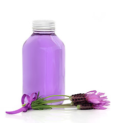 Image showing Lavender Herb Flower Water