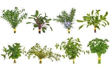 Image showing Herb Leaf Posy Selection