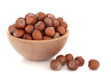 Image showing Hazelnuts