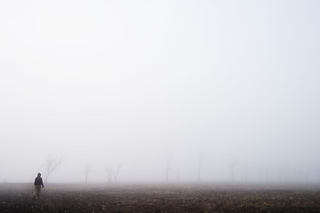 Image showing Fog Walk