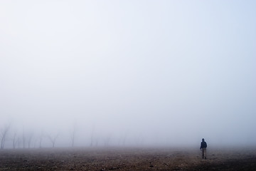 Image showing Fog Walk