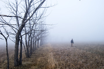 Image showing Fog Walk