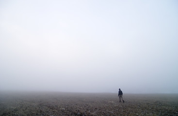 Image showing Fog Walk