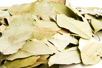 Image showing Bay Leaves