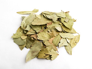 Image showing Bay Leaves