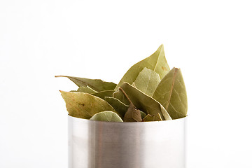 Image showing Bay Leaves