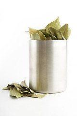 Image showing Bay Leaves