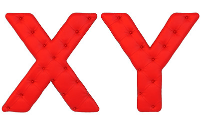 Image showing Luxury red leather font X Y letters