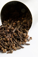 Image showing Cloves