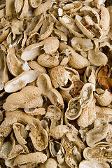 Image showing Peanut Shell Background