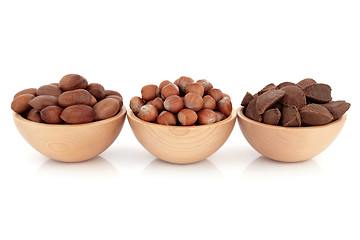 Image showing Pecan, Hazelnut and Brazil Nuts