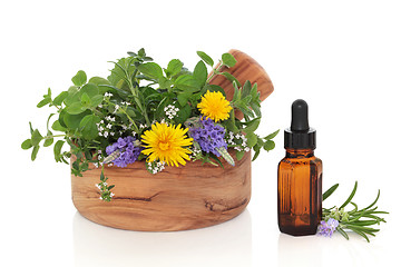 Image showing Herb Therapy