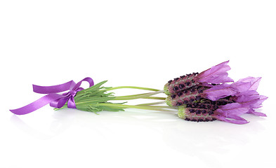 Image showing Lavender Herb Flower Posy