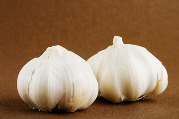 Image showing Garlic