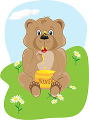 Image showing Baby Bear Eating Honey