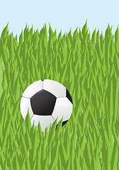 Image showing Football in a grass