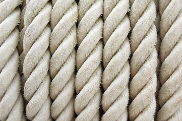 Image showing Ship rope