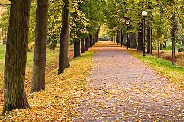 Image showing Autumn park Kadriorg, Tallinn