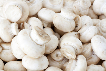 Image showing Champignons